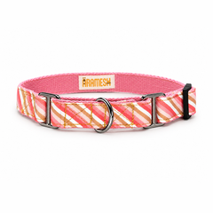 Martingale Dog Collar: Blush