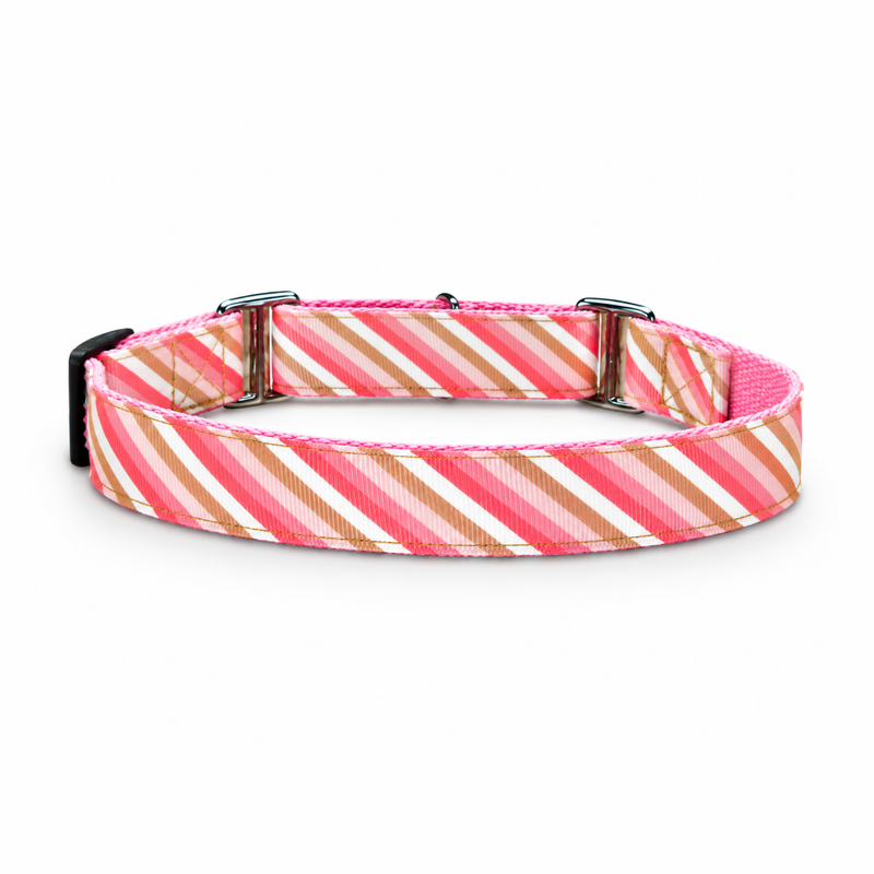 Martingale Dog Collar: Blush