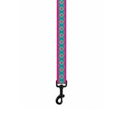 Phoolkari Dog Collar & Leash