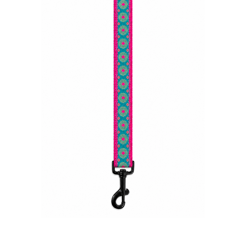 Phoolkari Dog Collar & Leash