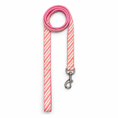 Blush Dog Collar & Leash