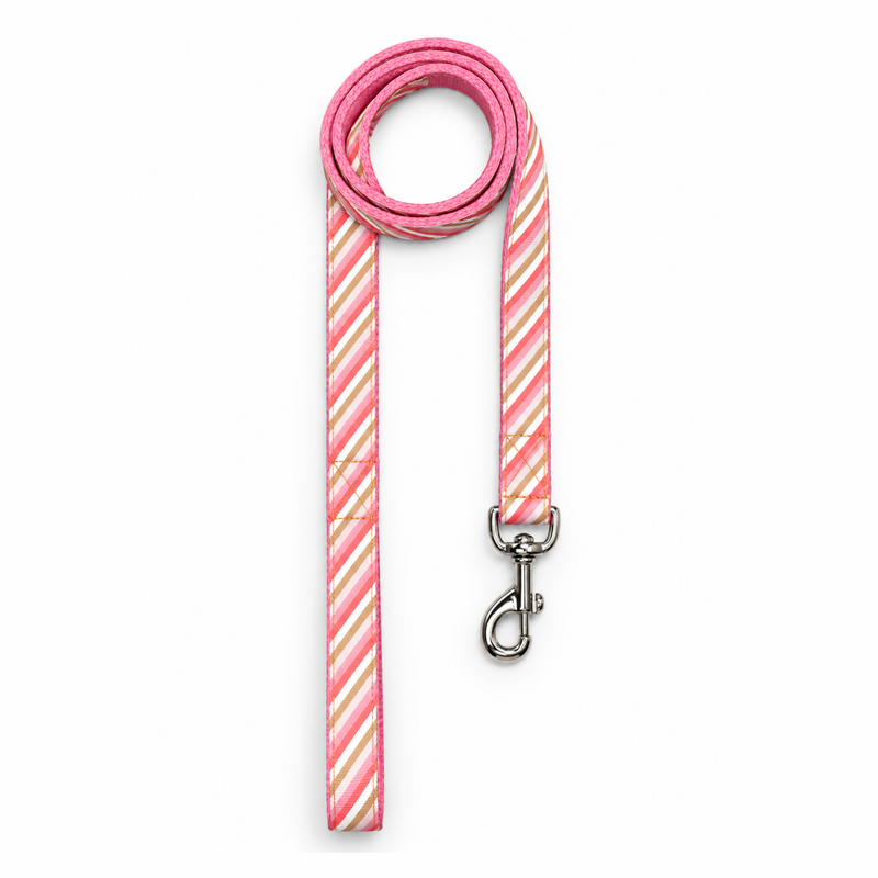 Blush Dog Collar & Leash