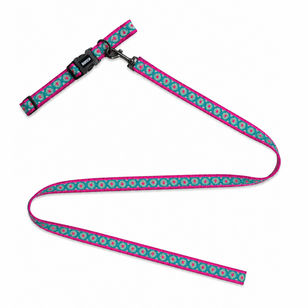 Phoolkari Dog Collar & Leash