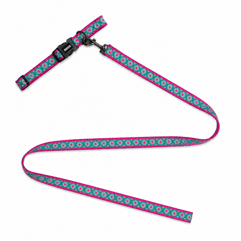Phoolkari Dog Collar & Leash
