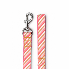 Blush Dog Collar & Leash