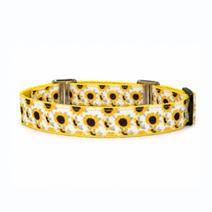 Martingale Dog Collar: Sunny Days