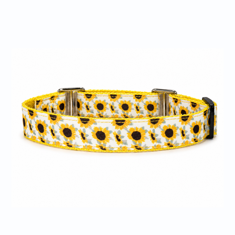 Martingale Dog Collar: Sunny Days