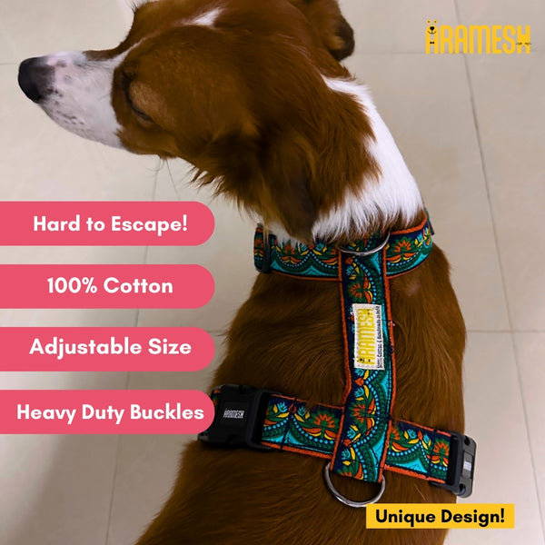 Fire & Ice Body Belt