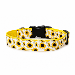 Sunny Days Dog Collar & Leash