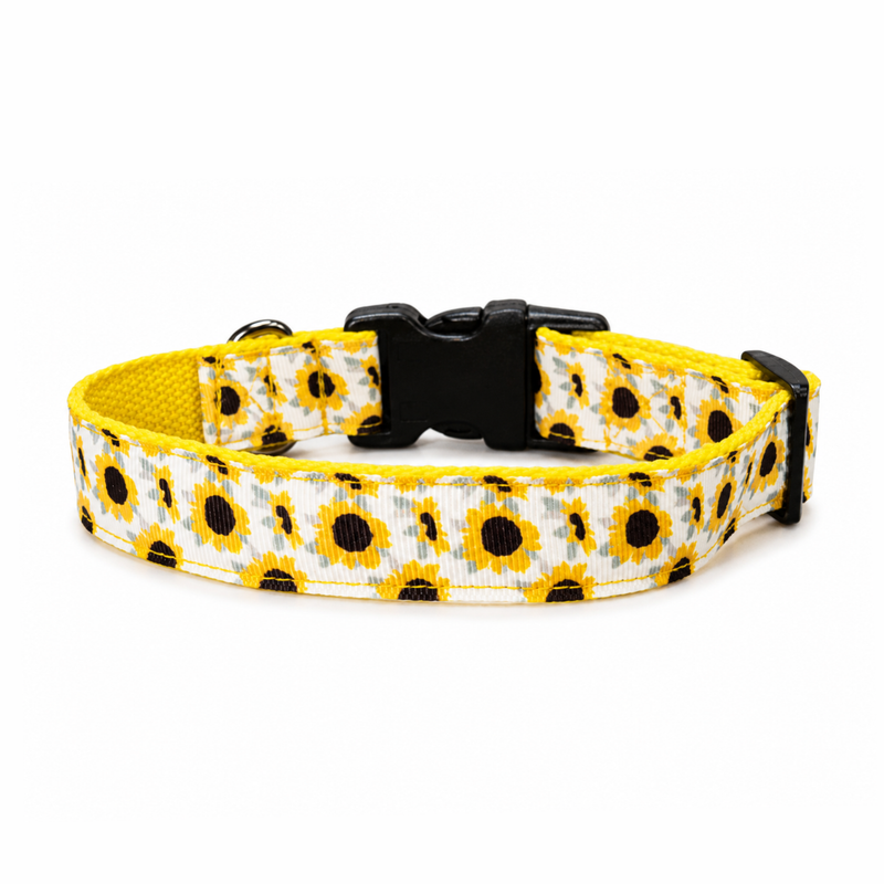 Sunny Days Dog Collar & Leash