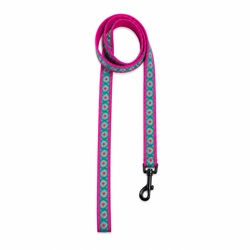 Phoolkari Dog Collar & Leash