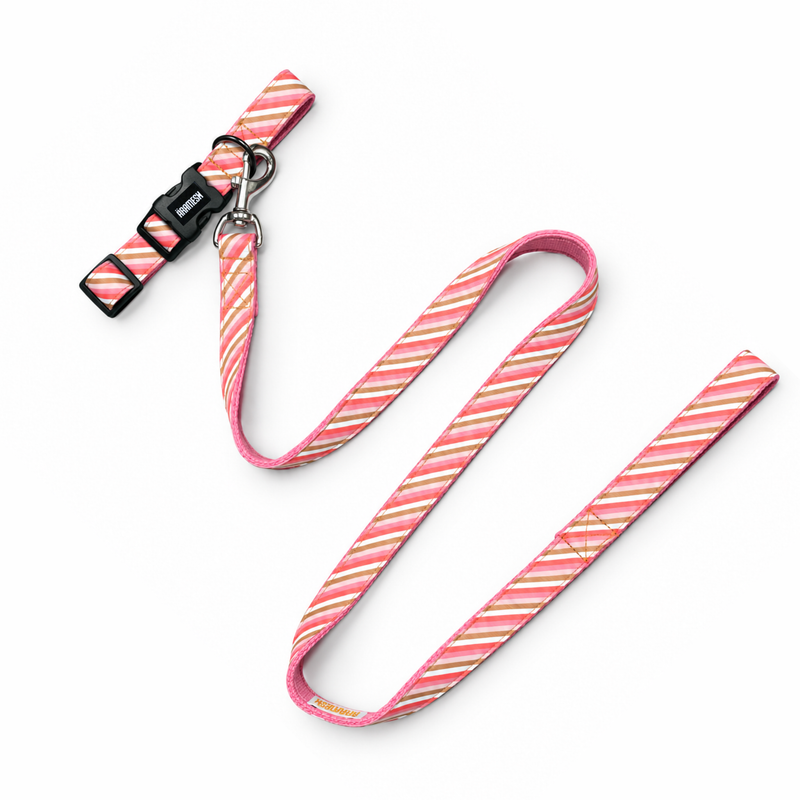 Blush Dog Collar & Leash