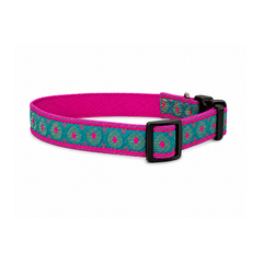 Phoolkari Dog Collar
