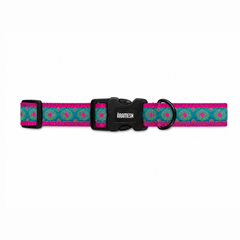 Phoolkari Dog Collar
