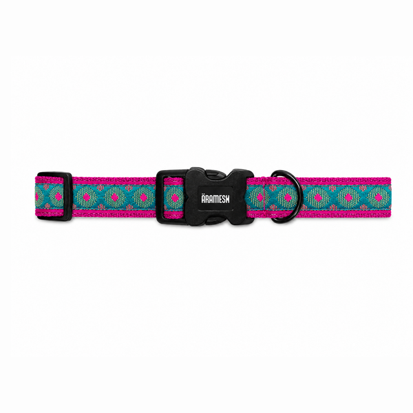 Phoolkari Dog Collar
