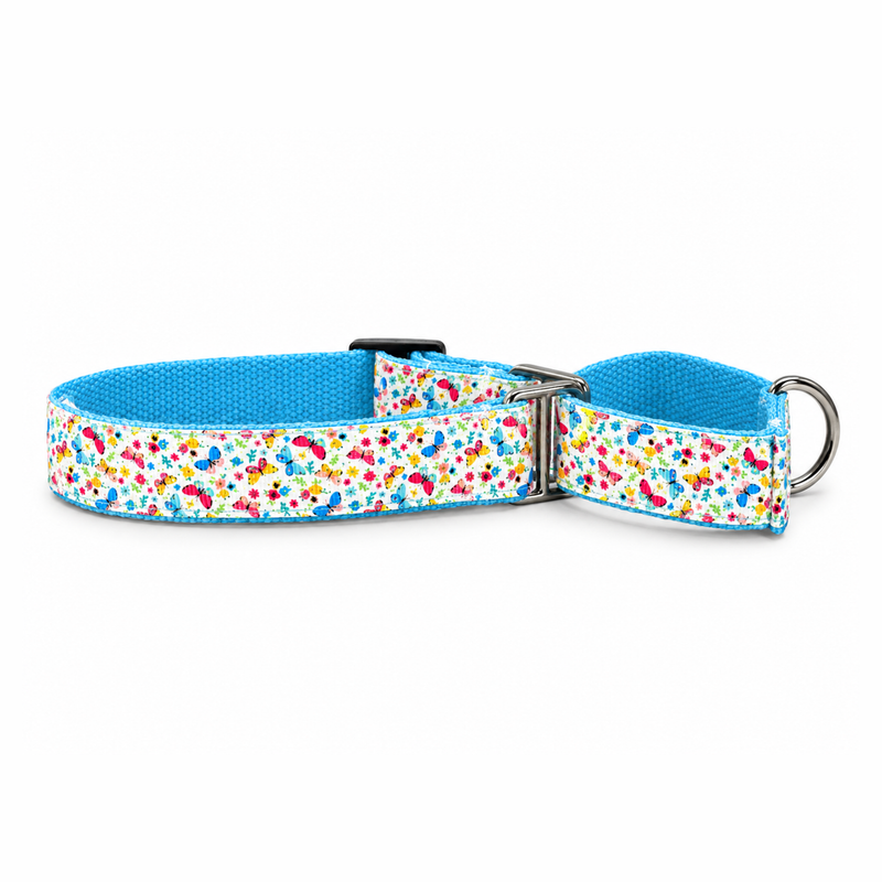 Martingale Dog Collar: Dancing Wings