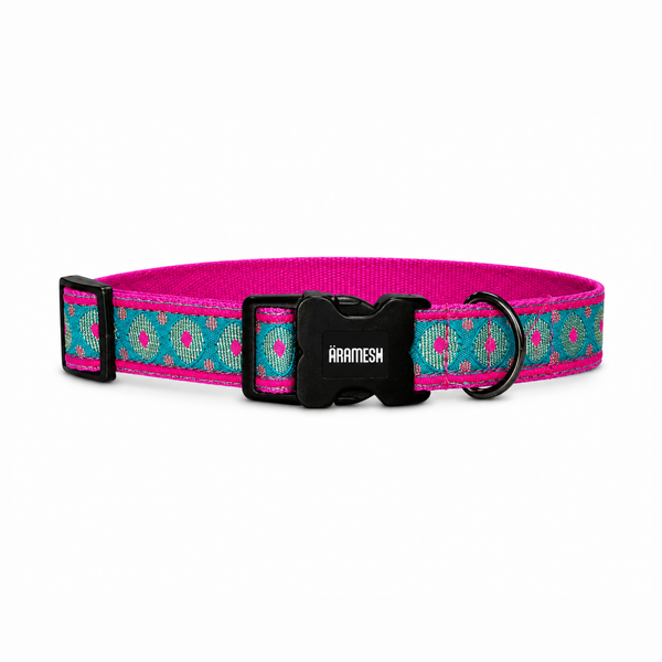 Phoolkari Dog Collar