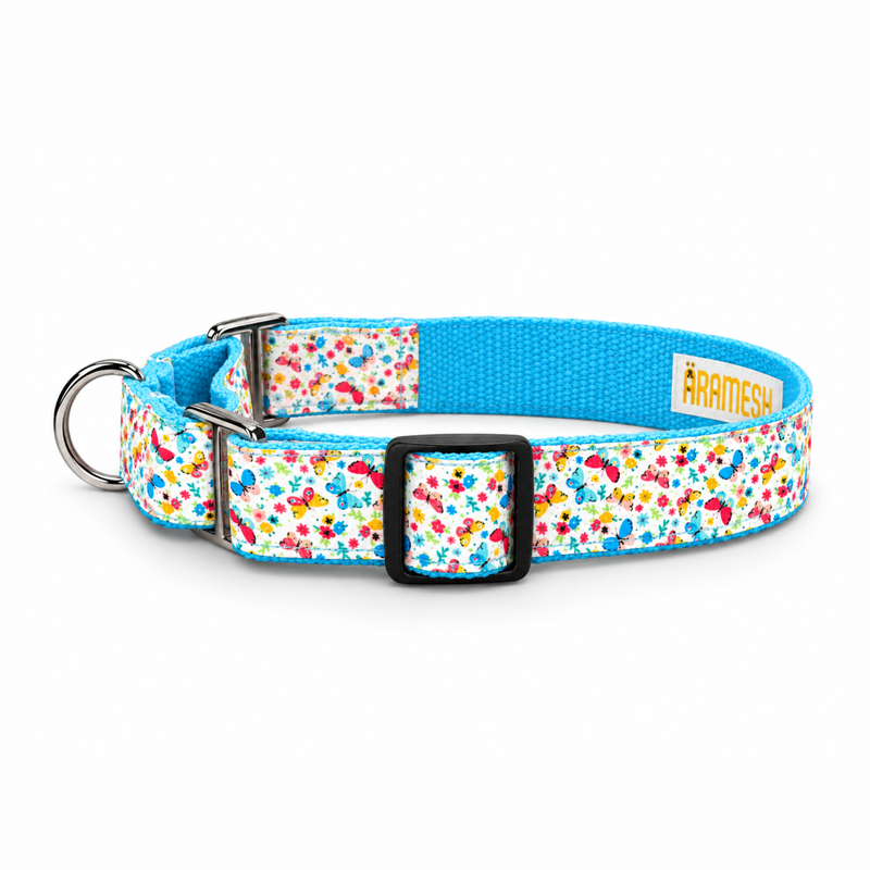 Martingale Dog Collar: Dancing Wings