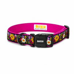 Coastal Bloom Dog Collar