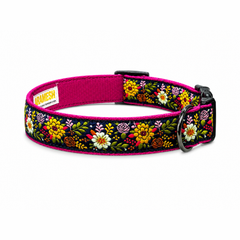 Coastal Bloom Dog Collar