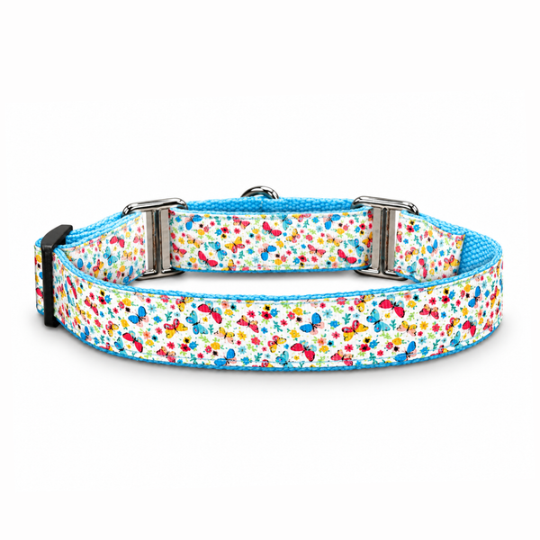 Martingale Dog Collar: Dancing Wings