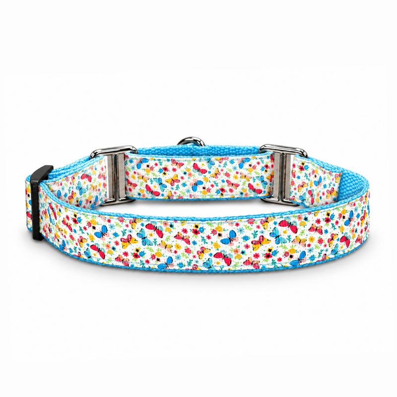 Martingale Dog Collar: Dancing Wings