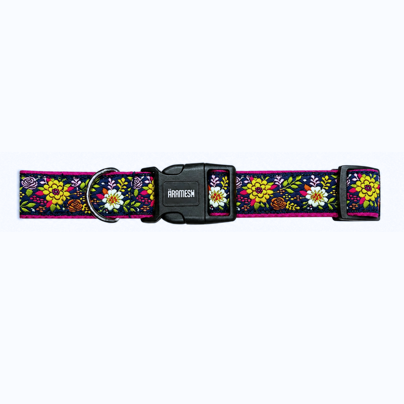 Coastal Bloom Dog Collar & Leash