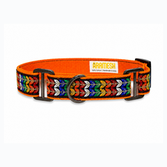 Martingale Dog Collar: Colourful Trails