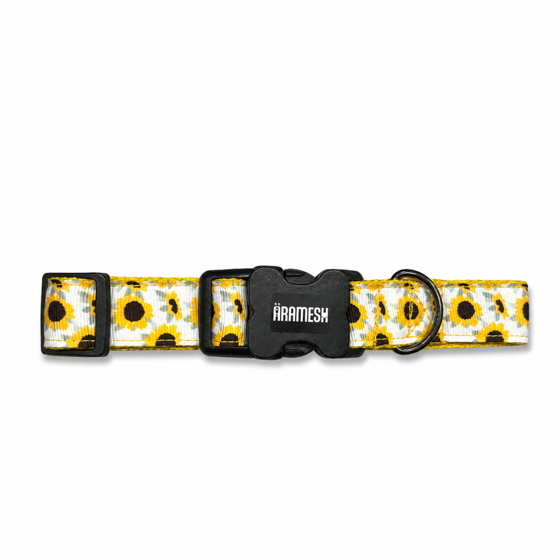 Sunny Days Dog Collar & Leash