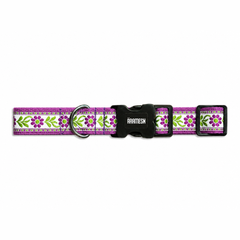 Lavender Sunshine Dog Collar