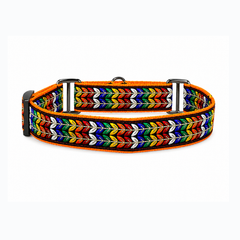 Martingale Dog Collar: Colourful Trails