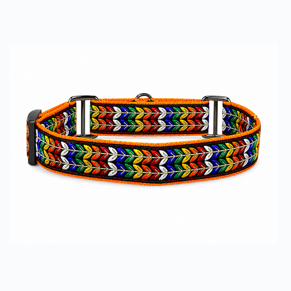 Martingale Dog Collar: Colourful Trails