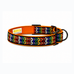 Martingale Dog Collar: Colourful Trails