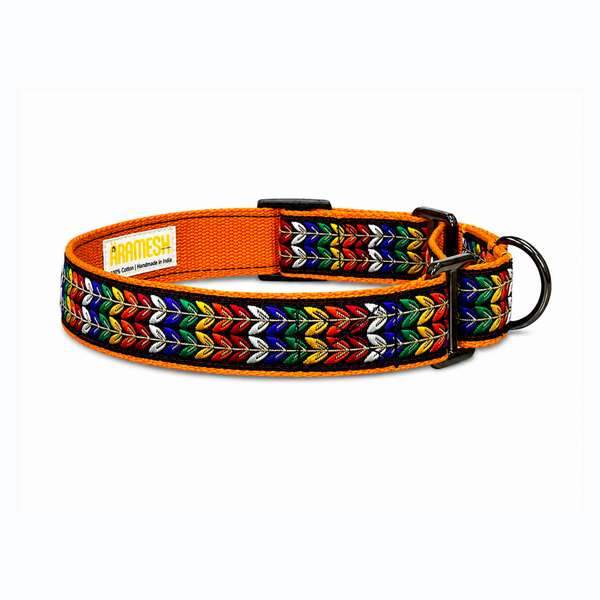 Martingale Dog Collar: Colourful Trails