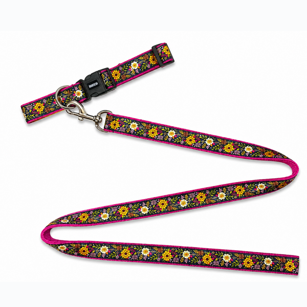 Coastal Bloom Dog Collar & Leash