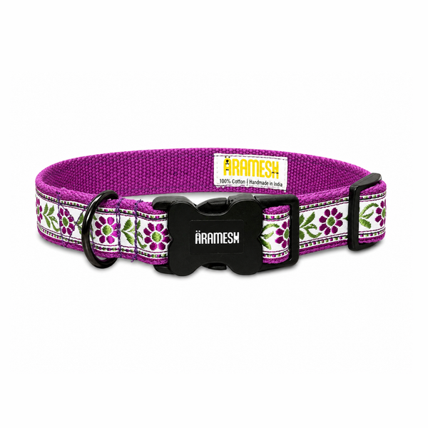 Lavender Sunshine Dog Collar & Leash