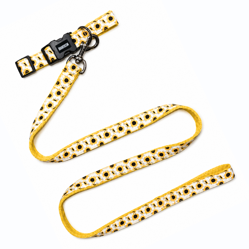 Sunny Days Dog Collar & Leash