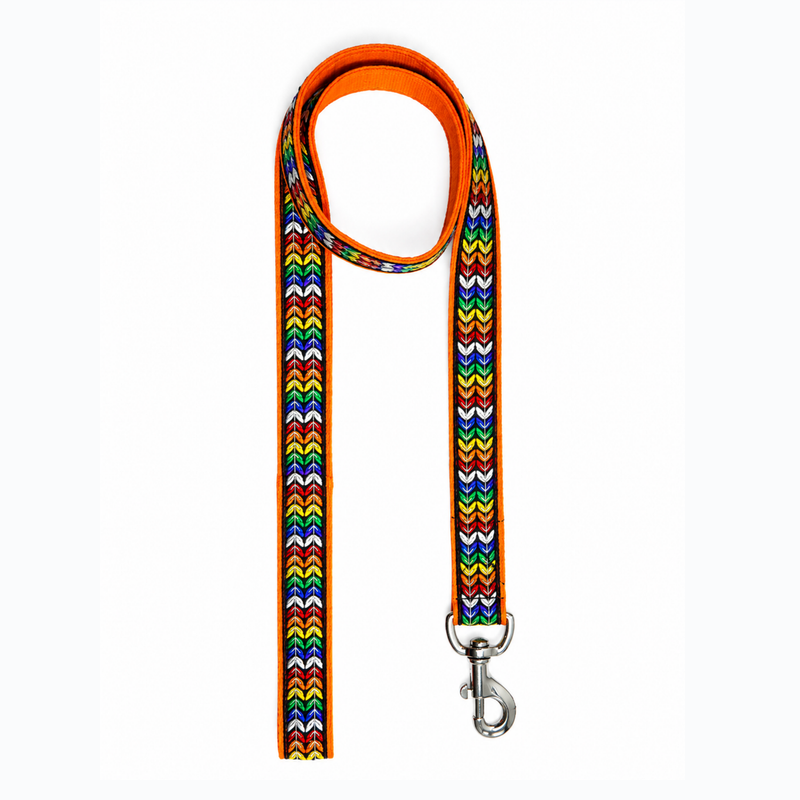 Colourful Trails Dog Leash