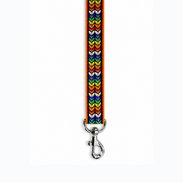 Colourful Trails Dog Leash