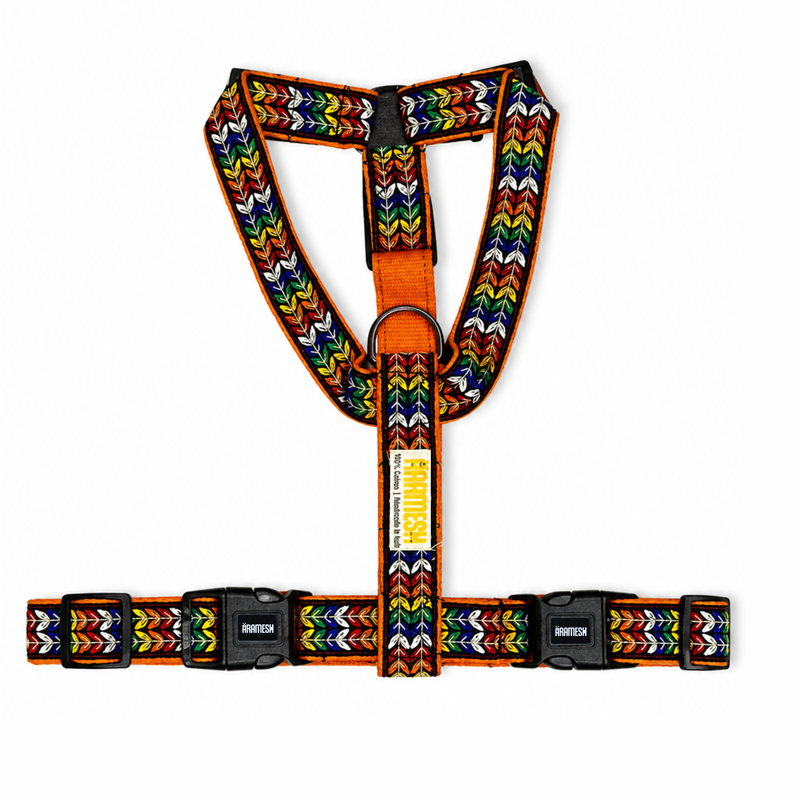 Colourful Trail Body Belt