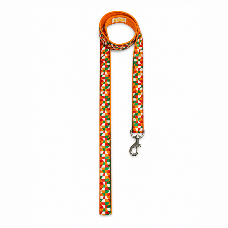 Azaadi Dog Leash