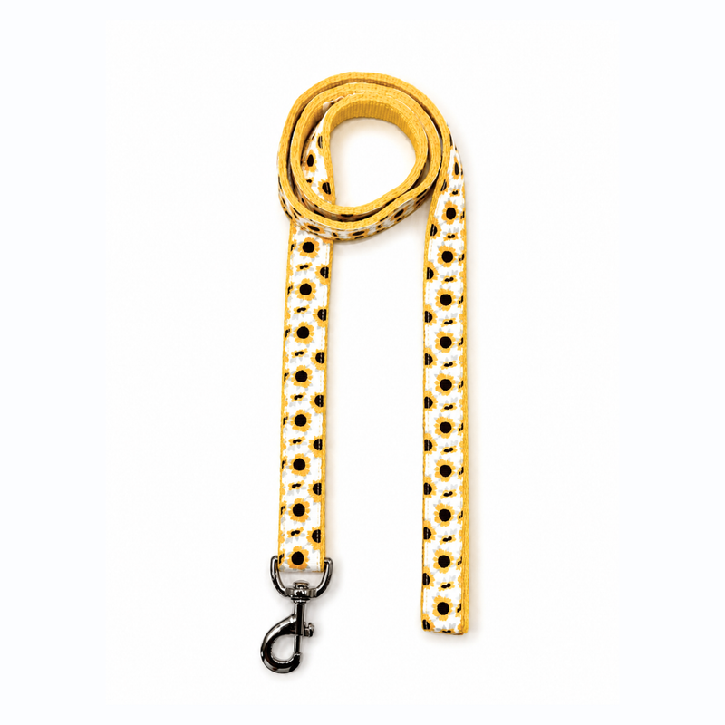 Sunny Days Dog Collar & Leash