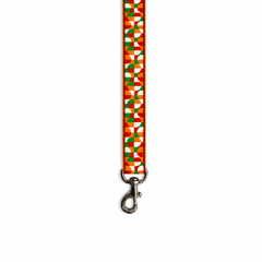 Azaadi Dog Leash