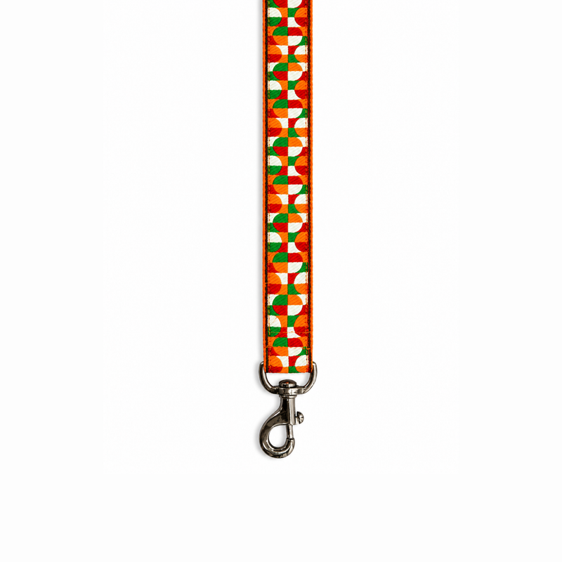 Azaadi Dog Leash