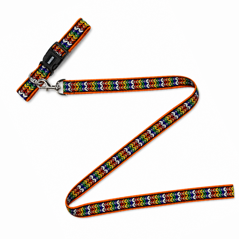 Colourful Trails Dog Collar & Leash