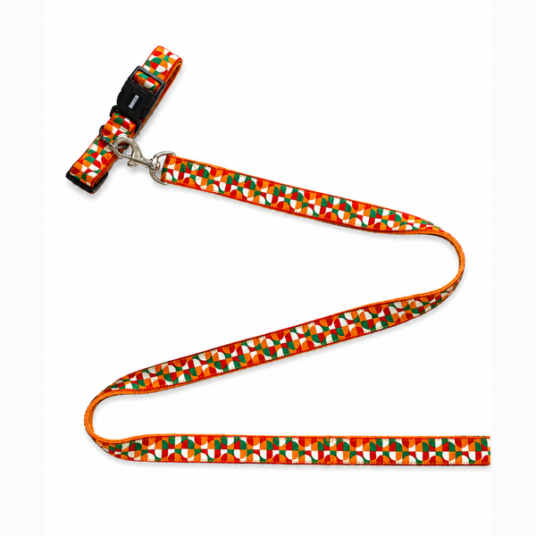 Azaadi Dog Collar & Leash