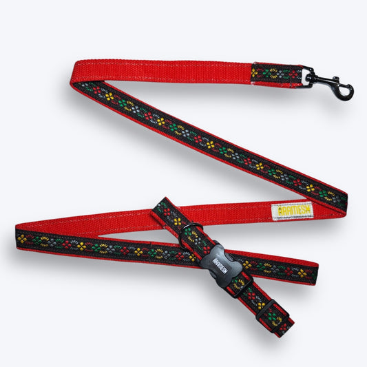 Bold Barker Dog Collar & Leash