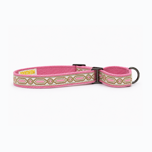Martingale Dog Collar: Meet Cute