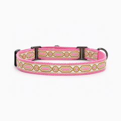 Martingale Dog Collar: Meet Cute