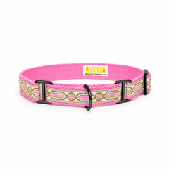 Martingale Dog Collar: Meet Cute